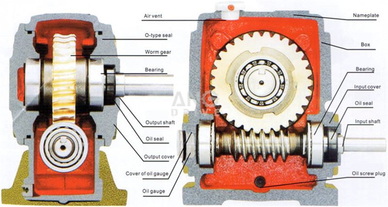 WP worm gearbox structure 