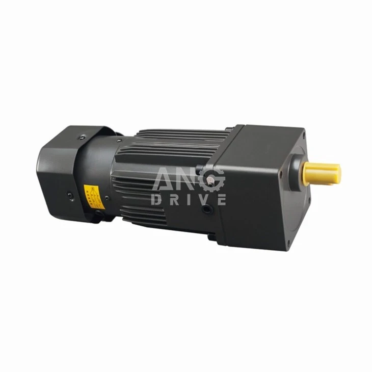 6W Gear Motor