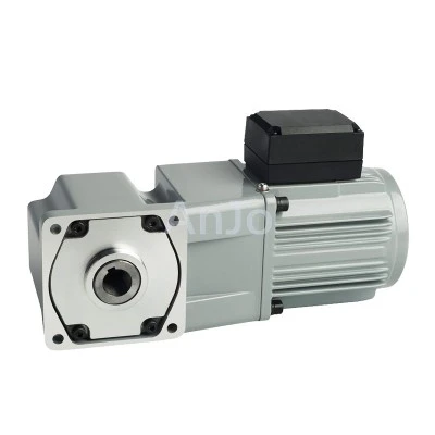 AC right angle hollow shaft gear motor AC right angle hollow shaft gear motor